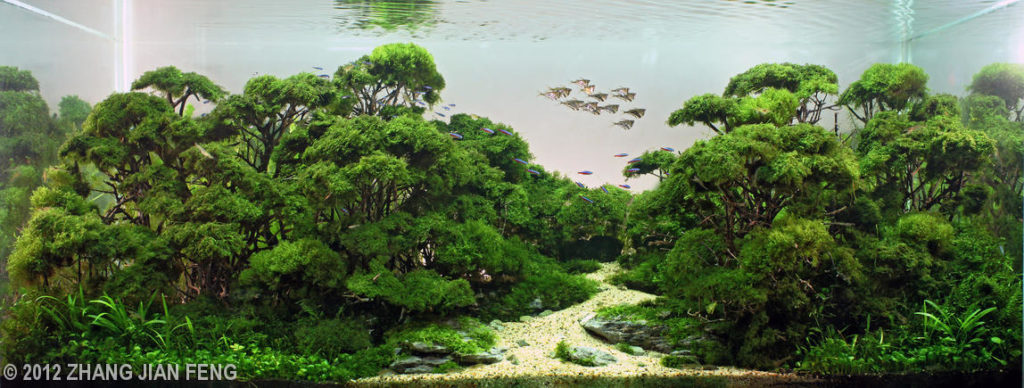 “Rainforest” Larry Lampert Most Innovative Award / Aquatic Garden, 200–320-L category Zhang Jian Feng Macau, China