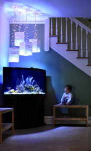 The author's son Ethan, at 23 months of age, already enthralled with Dad's aquariums.