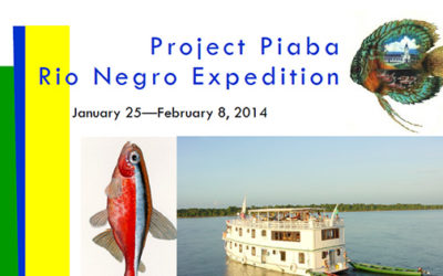 Last Minute Holiday Gift? An Expedition to South America with Project Piaba!