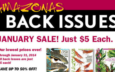 AMAZONAS January Back Issues Sale!