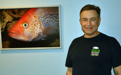 Fishroom Tour: Don Danko