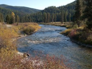 St. Joe River in the northern Rocky Mountains, a home to the Cedar Sculpin.