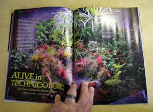 ALIVE in TECHNICOLOR: Doy Boyer's 200- gallon planted riparium - by Devin Biggs, images by Don Boyer