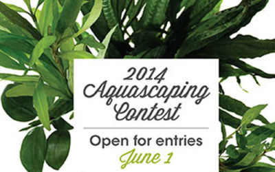 Attention Aquascapers: AGA Call for Entries 2014