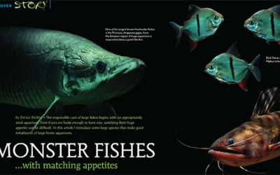 GIANT FISHES – AMAZONAS Hard-Copy Preview for July/August 2014