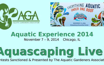 LIVE Aquascaping Competition in Chicago this November