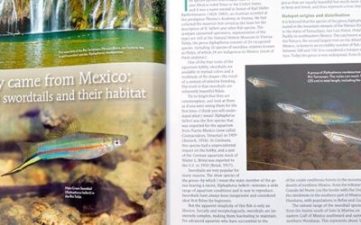 Hard Copy Preview – Swordtails – September/October 2014 – AMAZONAS Magazine