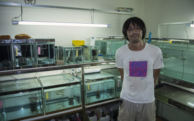 One Aquarist’s Quest to Save Cambodia’s Imperiled Fishes