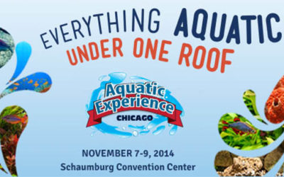 2nd Annual Aquatic Experience Draws Near