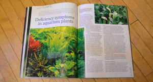 Maike Wilstermann-Hildebrand shares with readers the symptoms for a myriad of chemical deficiencies in the article "Deficiency symptoms in aquarium plants"