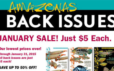 AMAZONAS Magazine January Back Issues Sale!