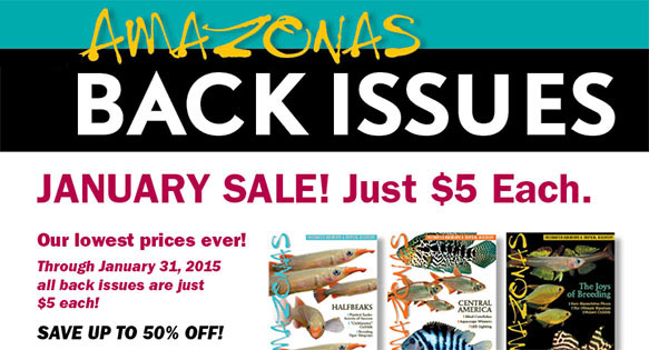 AMAZONAS Magazine January Back Issues Sale!