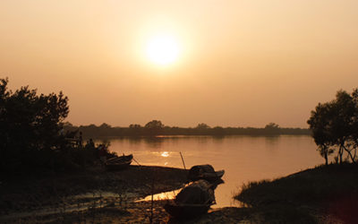 India’s Sundarbans: One Incredible Estuary (Part I)