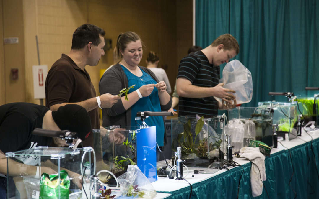 CALL FOR ENTRIES: Second Annual Aquascaping Live! Contest