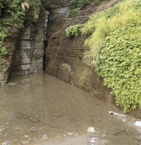 Seasonal pool where Danio annulosus was found at the foot of a 90m waterfall.