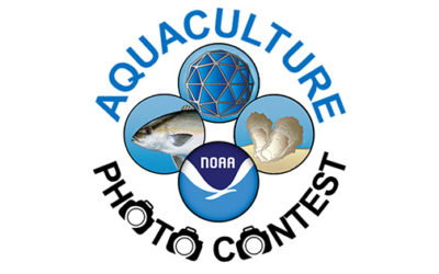 NOAA Aquaculture Photo Contest