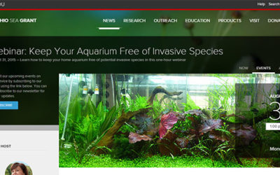 Aquatic Invasive Webinar Series – Invasive Aquarium Species, August 31st