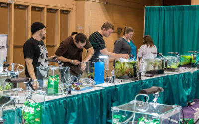 Aquascaping Live! Contest Returns to Aquatic Experience 2015