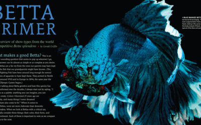 AMAZONAS New Issue “BETTAS Part II” Inside Look