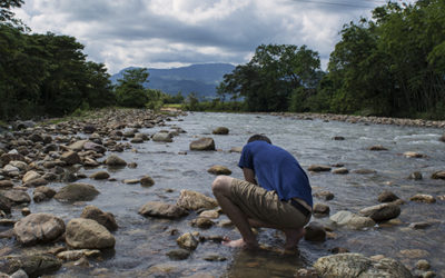 Following the Fish: First Stop, Colombia