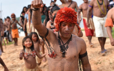 Battlelines Drawn as Brazil Pushes for Mega Dam on the Rio Tapajós