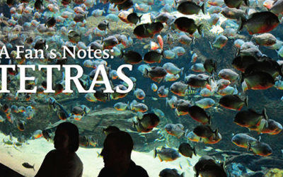 AMAZONAS “Tetras to Discover” Issue Inside Look