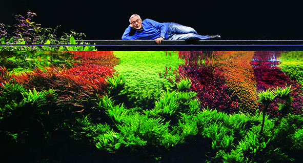 New Takashi Amano Bio: An Aquarium Life