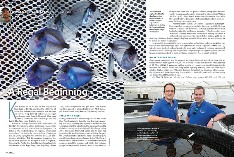 University of Florida's Tropical Aquaculture Laboratory, responsible for the the first successful captive breeding of the Pacific Blue Tang, Paracanthurus hepatus (as reported in "A Regal Beginning," CORAL Sept/Oct. 2016), is facing hundreds of thousands in funding losses in this year's Florida budget.