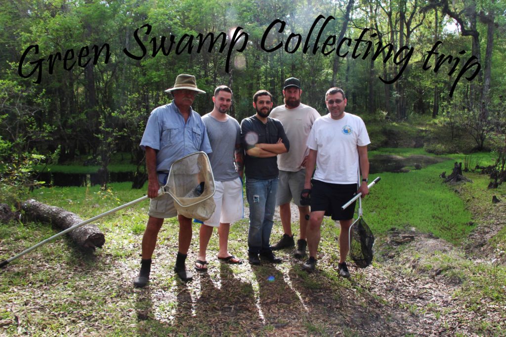 Left to right: Bill Shields, David Parks, Mike Tuccinardi, Mike Drawdy and Stephan Tanner, out collecting native fishes in Florida.
