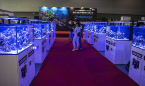The show also held a reef tank competition