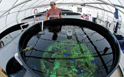 Florida’s Tropical Aquaculture Lab Faces Budget Veto