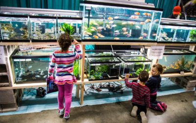 Aquatic Experience – Chicago’s 2016 Educational Seminar Schedule