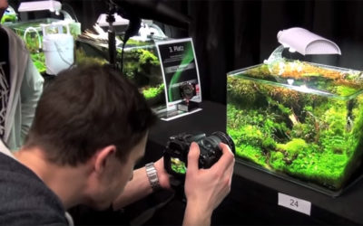 VIDEOS: How To Photograph Aquascapes