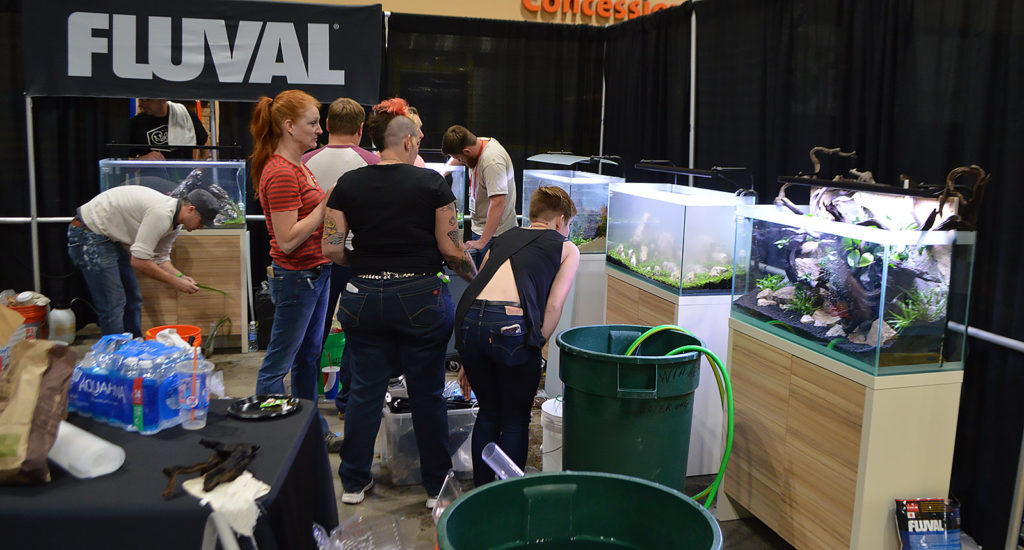 Buckets, hoses, cloudy water, and aquascapers fill the scene as Aquascaping Live! 2016 happens in real time on the show floor.