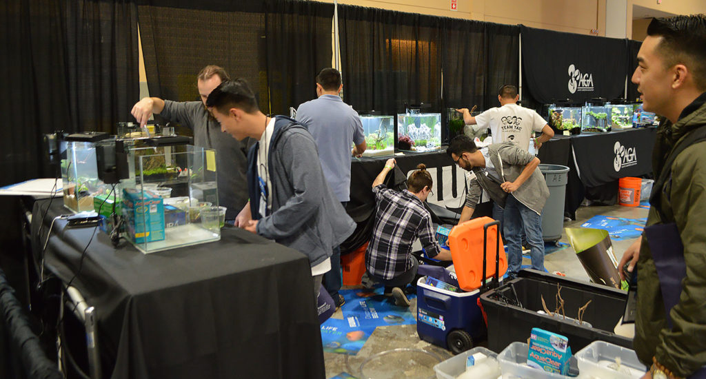 The show floor is a flurry of activity as small planted aquariums are set up.