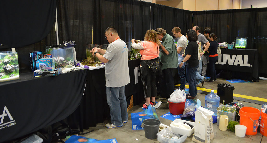 Aquascaping contestants work furiously to get their creations set up.