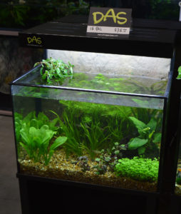 Dutch Aquarium Systems (DAS) had many aquariums on display, both empty and filled to the brim with livestock. Here's a look at the first of several.