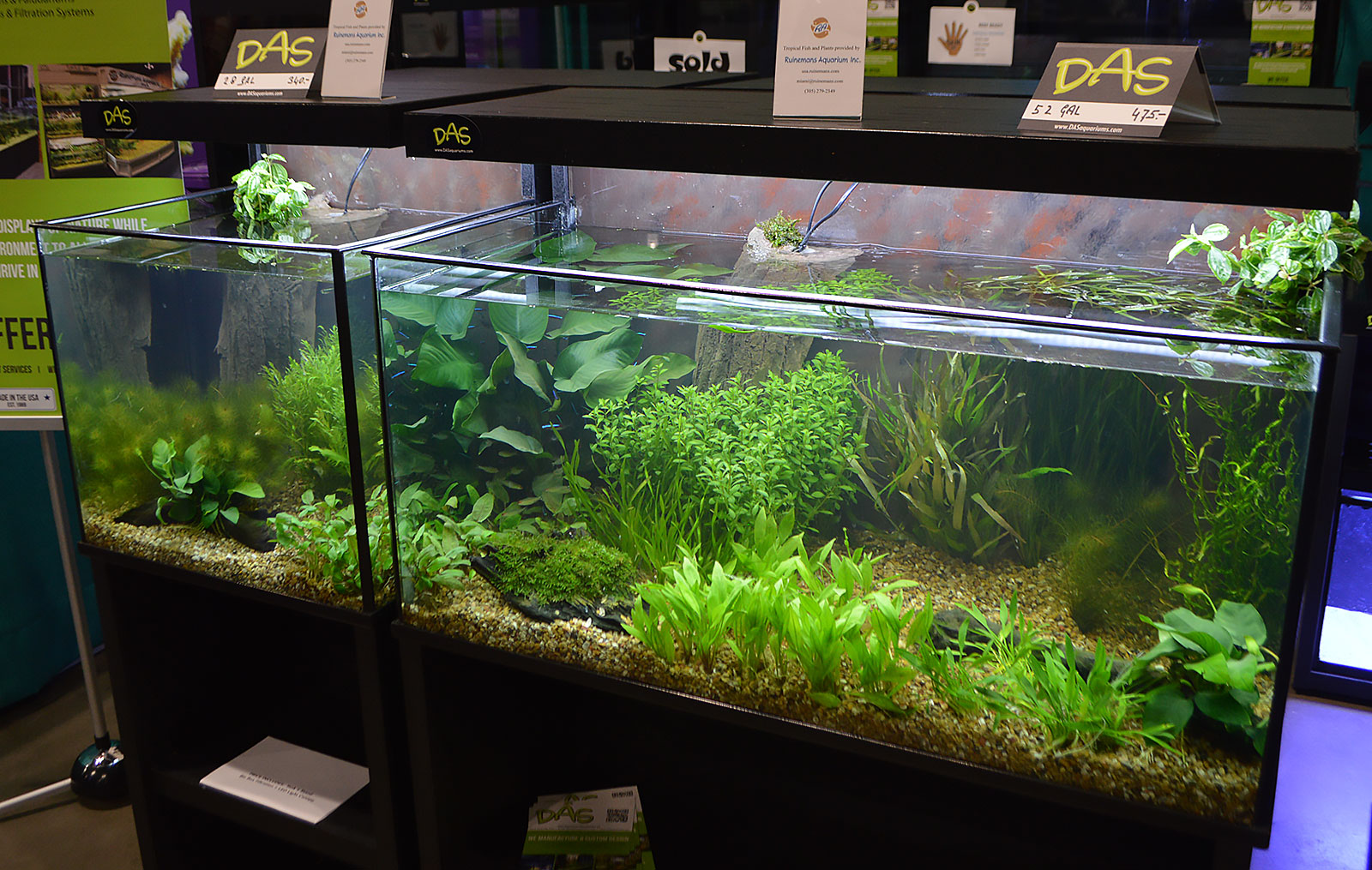 Freshwater Tanks of the Aquatic Experience 2016, Part 1 - AMAZONAS Magazine