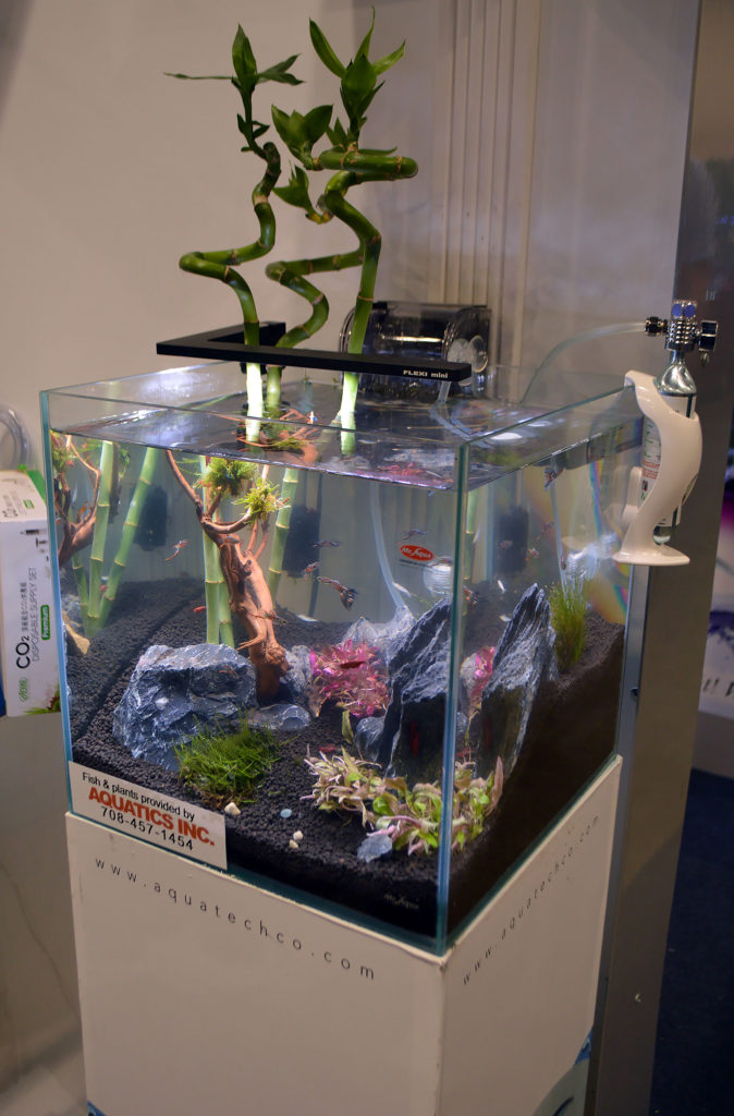 Another tank on display by Aqua-Tech Co, with Guppies and plants from Aquatics, Inc.