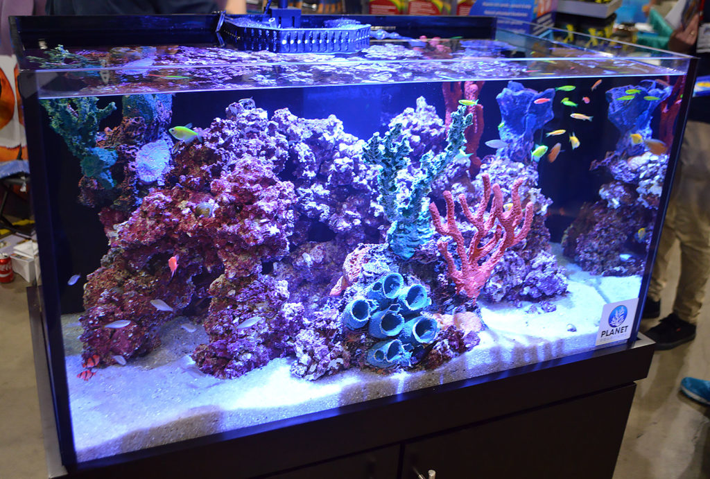 Freshwater fish cavort among artificial corals as Aquarium Adventure shows off a classic example of the "I want a saltwater tank, without the actual headaches of a saltwater tank," type of aquarium. 