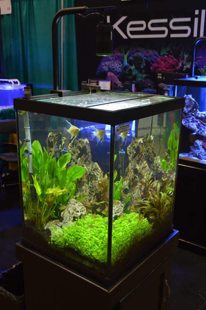 Kessil, an LED lighting company probably more familiar to reef aquarium hobbyists, offered up this planted aquarium featuring Angelfish and Tetras.