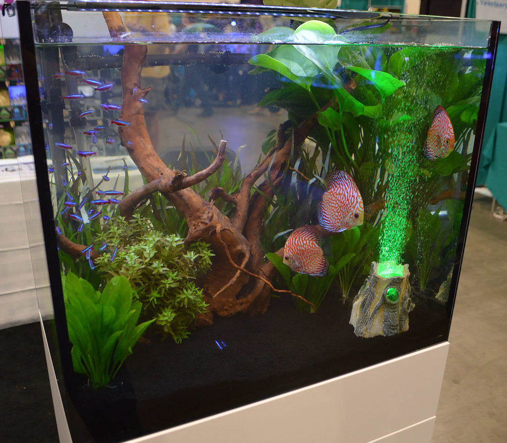 Hydor's planted Discus aquarium was punctuated with a glowing LED air volcano.