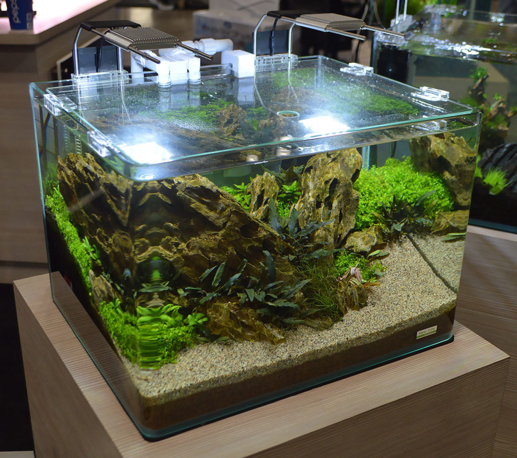 JBJ has teamed up with Dennerle, and they had multiple Dennerle products incorporated into their freshwater displays, such as the LED lighting and filtration on this co-branded Nano Cube / Dennerle tank. Update - we've learned aquascape credits go to Bailin Shaw for design, and Jo Ann Fujii for maintaining!