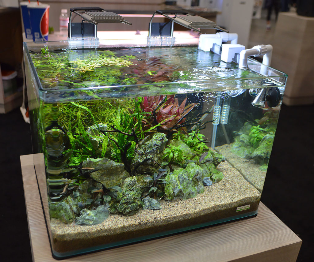 A lush, established planted aquarium, again featuring Dennerle components as part of JBJ's display. Update - Bailin Shaw gets credit for designing and maintaining this aquascape.