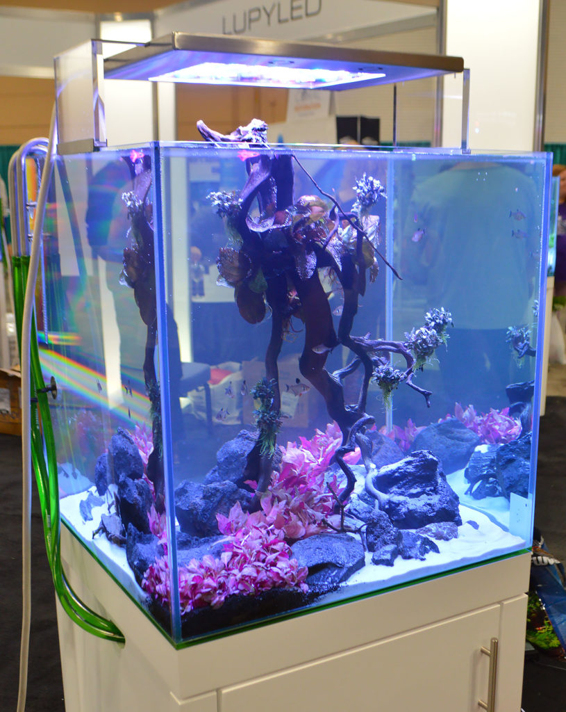 Aqvainnova and LUPYLED shared a joint display and had well-known aquascapers Luis Navarro, Oliver Knott, and the Senske Brothers (from Aquarium Design Group) on hand to talk with attendees and provide real-time aquascaping demonstrations in the booths.