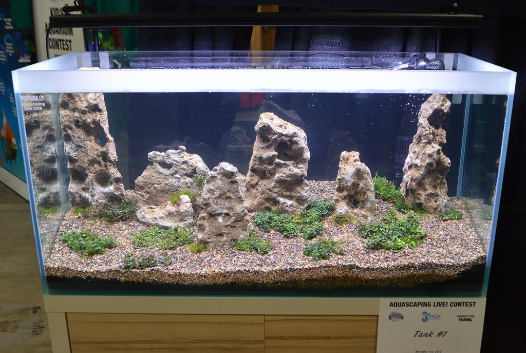 AGA Aquascaping Live 2016 Entry #1