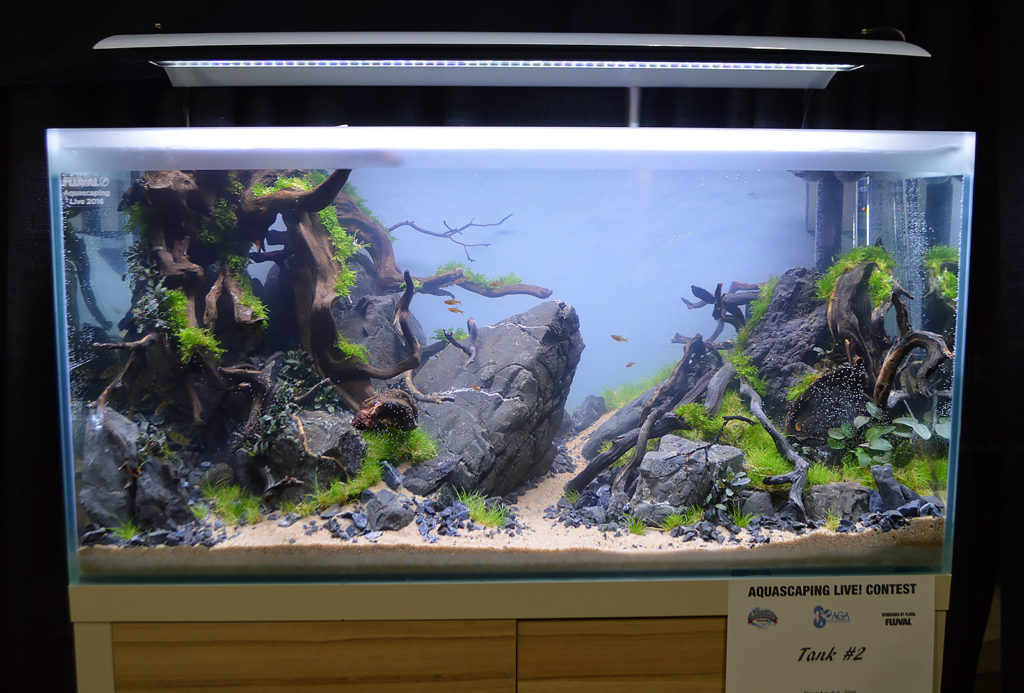 AGA Aquascaping Live 2016 Entry #2 - First Place Award Winner