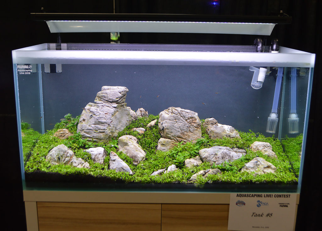 AGA Aquascaping Live 2016 Entry #8 - People's Choice Award Winner