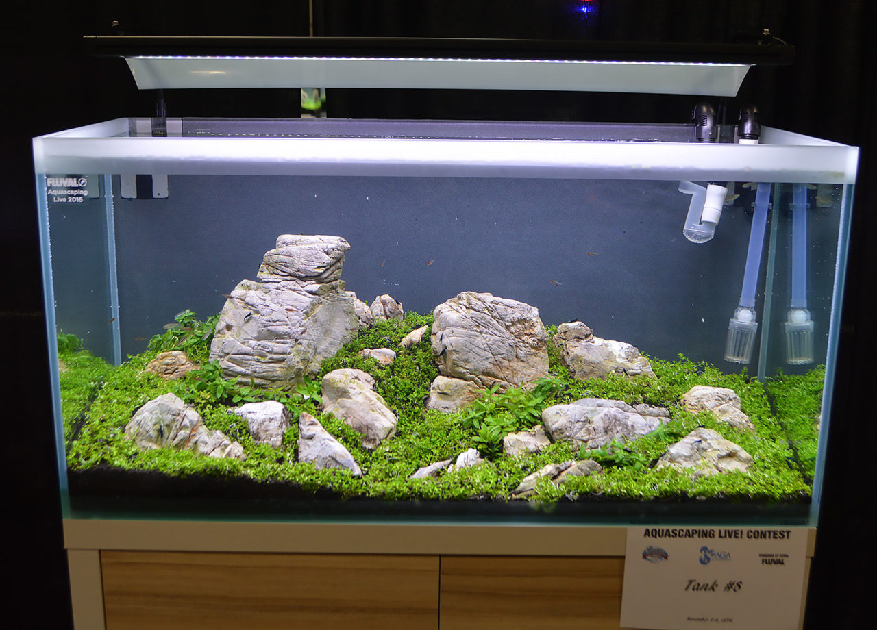 Aquascaping Live! 2016 Large Planted Tanks | AMAZONAS Magazine