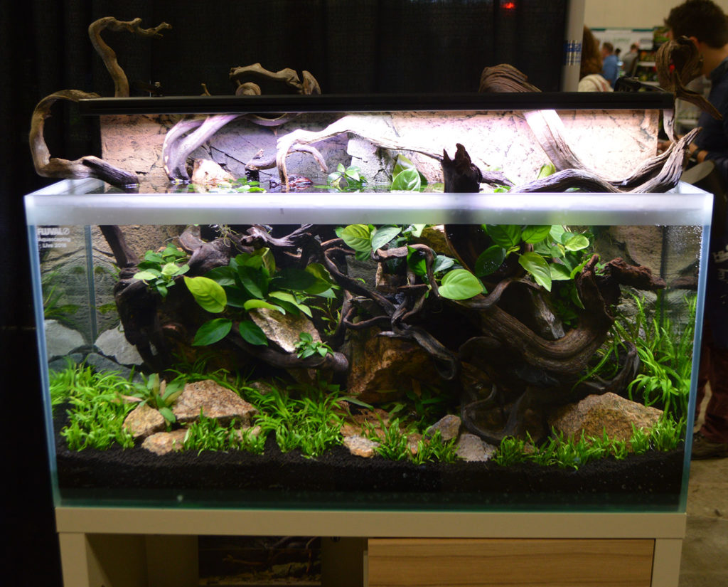 AGA Aquascaping Live 2016 - a ninth aquarium on display was not part of the competition, but was part of Oliver Knott's aquascaping demonstrations.